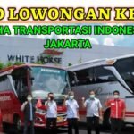 Infrastruktur dan Inovasi Transportasi: Antara Harapan dan Tantangan di Indonesia