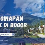 Menginap dengan Gaya: Menjelajahi Dunia Penginapan Unik yang Tak Terlupakan