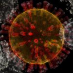 Tentu, mari kita buat artikel informatif tentang varian virus baru.