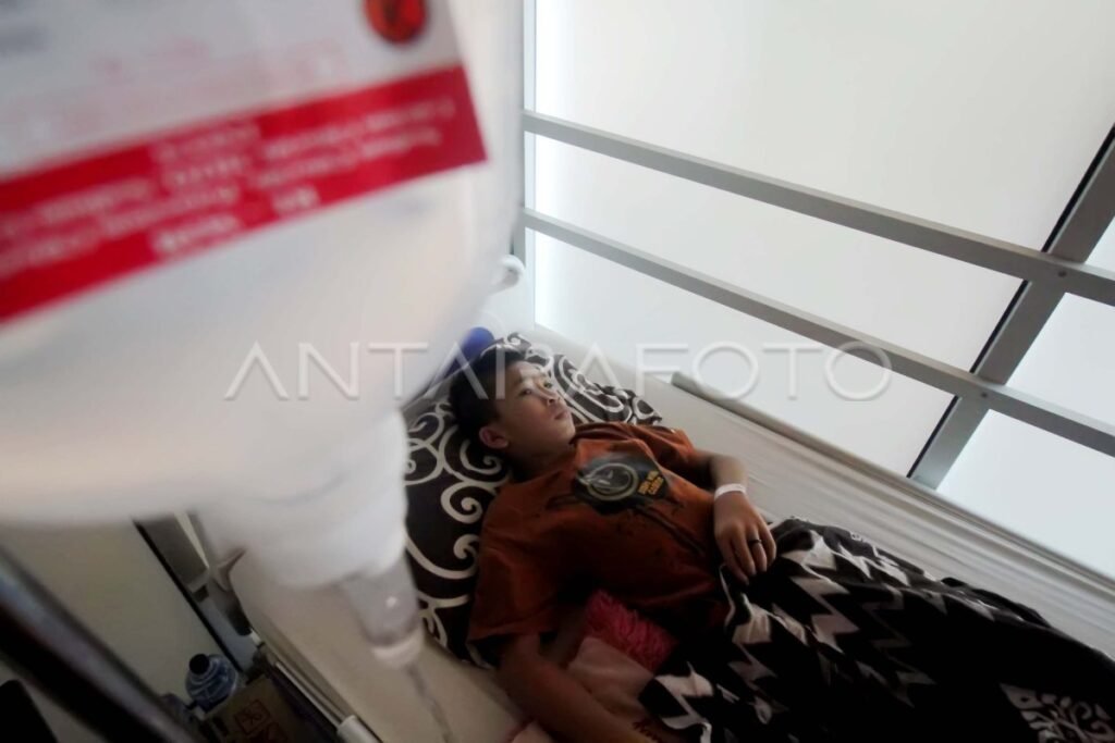 Waspada! Kasus DBD Meningkat: Apa yang Perlu Anda Ketahui?