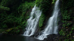 Empat Rekomendasi Wisata Banyuwangi untuk Akhir Tahun